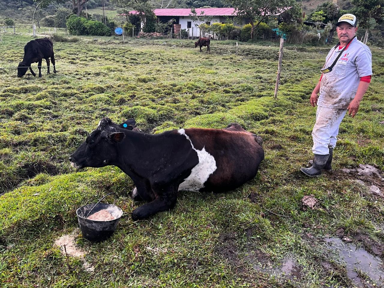 Trabajador de la finca