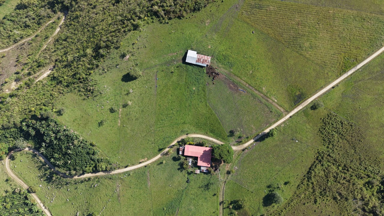 Praderas verdes con pastoreo rotacional