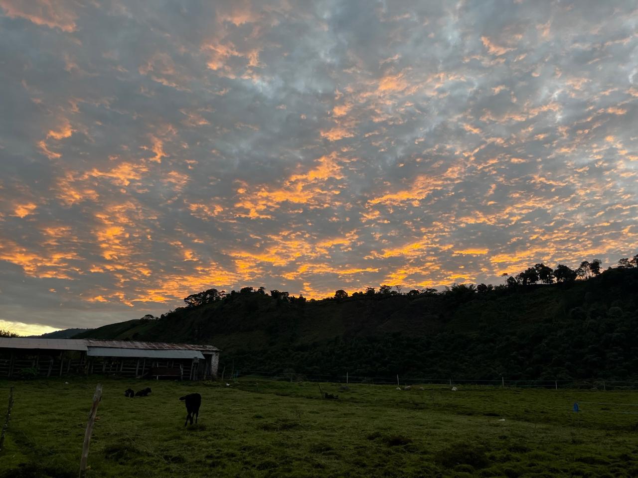 Amanecer sobre la finca